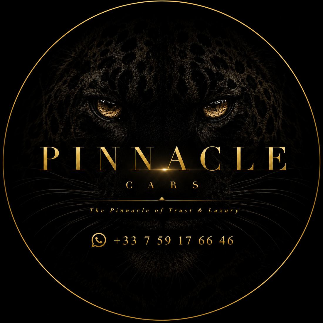 Pinnacle Cars